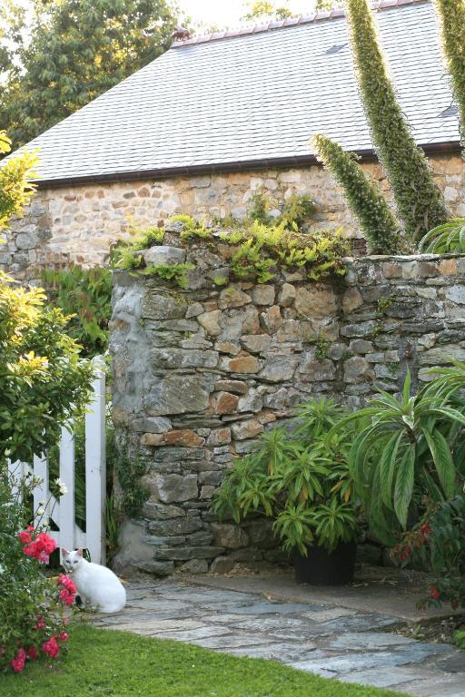 Le Manoir De La Fieffe Bed & Breakfast Cherbourg-en-Cotentin Dış mekan fotoğraf