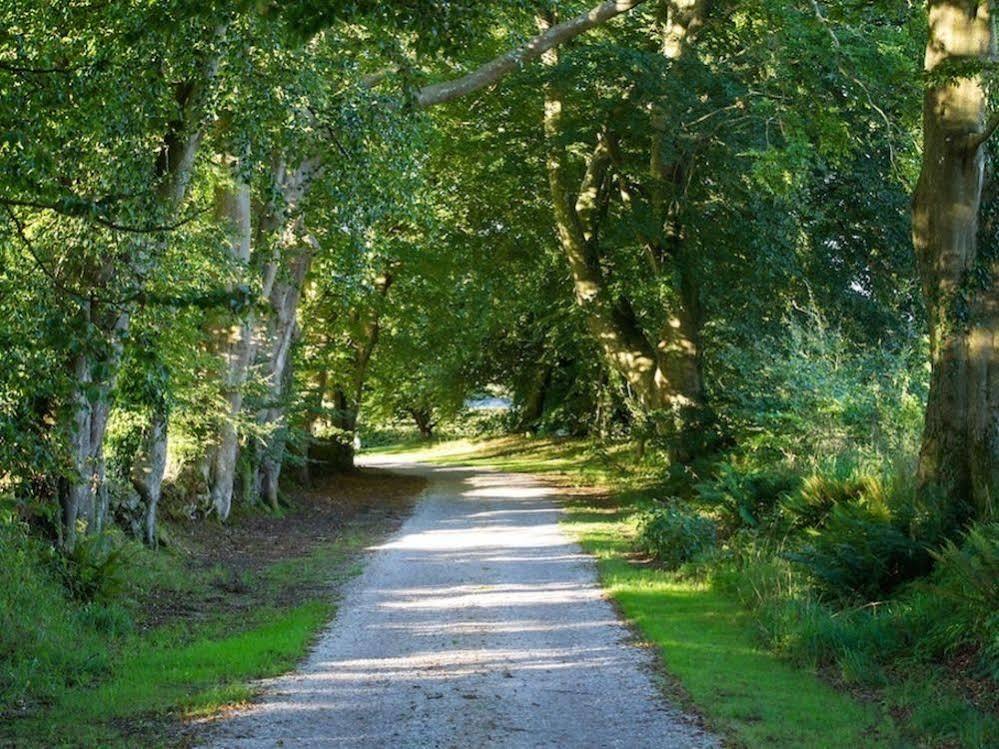 Le Manoir De La Fieffe Bed & Breakfast Cherbourg-en-Cotentin Dış mekan fotoğraf